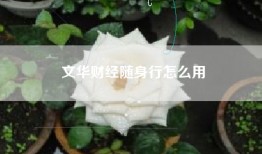 文华财经随身行怎么用