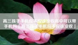 高三孩子手机应不应该没收高中可以带手机吗「高三孩子手机应不应该没收」