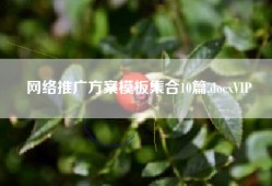 网络推广方案模板10篇.docxVIP