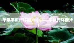 苹果手机摔坏图片（iphone手机摔坏图片）