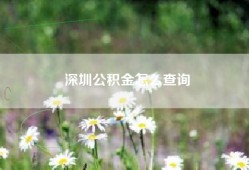 深圳公积金怎么查询