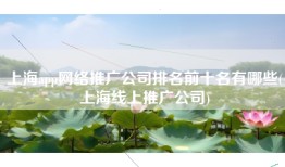 上海app网络推广公司排名前十名有哪些(上海线上推广公司)
