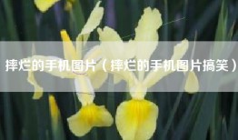 摔烂的手机图片（摔烂的手机图片搞笑）