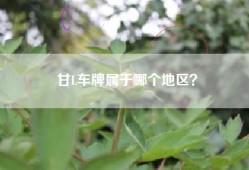 甘L车牌属于哪个地区？