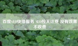百度SEO快排服务 SEO按天计费 没有效果不收费