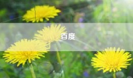 百度