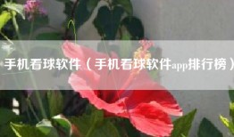 手机看球软件（手机看球软件app排行榜）