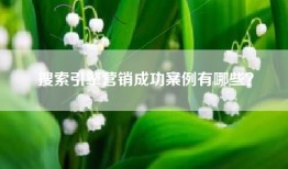搜索引擎营销成功案例有哪些？
