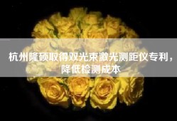 杭州隆硕取得双光束激光测距仪专利，降低检测成本