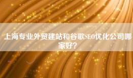 上海专业外贸建站和谷歌SEO优化公司哪家好？