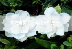 跨境电商“一件代发”是什么