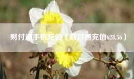 财付通手机充值（财付通充值628.56）