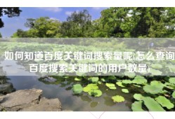 如何知道百度关键词搜索量呢(怎么查询百度搜索关键词的用户数量)