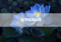 动物名词动用