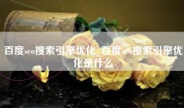 百度seo搜索引擎优化_百度seo搜索引擎优化是什么