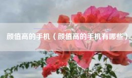 颜值高的手机（颜值高的手机有哪些）