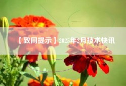 【致同提示】2025年2月技术快讯