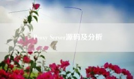 Proxy Server源码及分析
