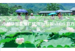 小脑袋智能推广软件360专版 v3.0.2.5 官方版