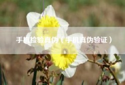 手机检验真伪（手机真伪验证）