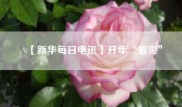 【新华每日电讯】开年“看见”