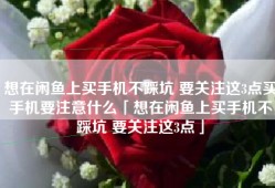 想在闲鱼上买手机不踩坑 要关注这3点买手机要注意什么「想在闲鱼上买手机不踩坑 要关注这3点」