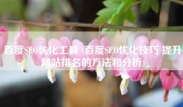 百度SEO优化工具 (百度SEO优化技巧 提升网站排名的方法和分析)