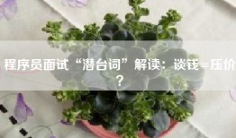 程序员面试“潜台词”解读：谈钱=压价？