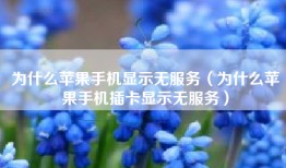 为什么苹果手机显示无服务（为什么苹果手机插卡显示无服务）