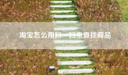 淘宝怎么用扫一扫来查找商品