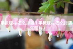 手机版wps怎么排版（手机版wps怎么排版4张图片）