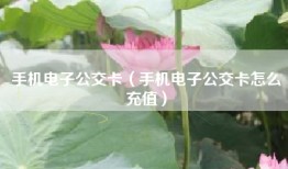 手机电子公交卡（手机电子公交卡怎么充值）