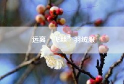 远离“飞丝”羽绒服