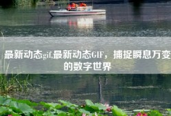 最新动态gif,最新动态GIF，捕捉瞬息万变的数字世界