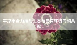 平凉市全力推动生态与营商环境同频共振