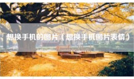 想换手机的图片（想换手机图片表情）