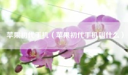 苹果初代手机（苹果初代手机叫什么）