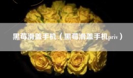 黑莓滑盖手机（黑莓滑盖手机priv）
