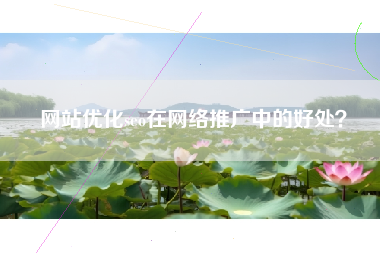 网站优化seo在网络推广中的好处？