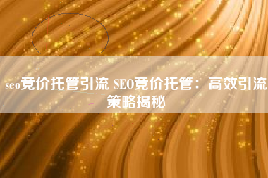seo竞价托管引流 SEO竞价托管：高效引流策略揭秘