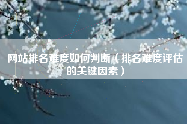 网站排名难度如何判断（排名难度评估的关键因素）