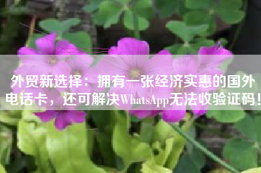 外贸新选择：拥有一张经济实惠的国外电话卡，还可解决WhatsApp无法收验证码！