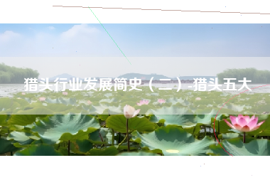 猎头行业发展简史（二）-猎头五大