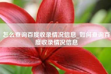 怎么查询百度收录情况信息_如何查询百度收录情况信息