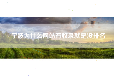 宁波为什么网站有收录就是没排名