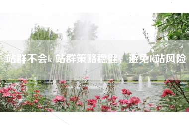 站群不会k 站群策略稳健，避免K站风险