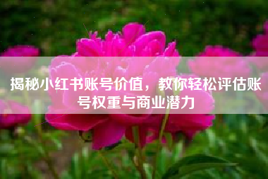 揭秘小红书账号价值，教你轻松评估账号权重与商业潜力
