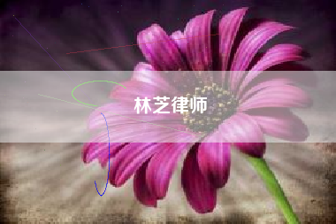 林芝律师