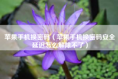 苹果手机换密码（苹果手机换密码安全延迟怎么解除不了）