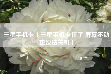 三星手机卡（三星手机卡住了 屏幕不动也没法关机）